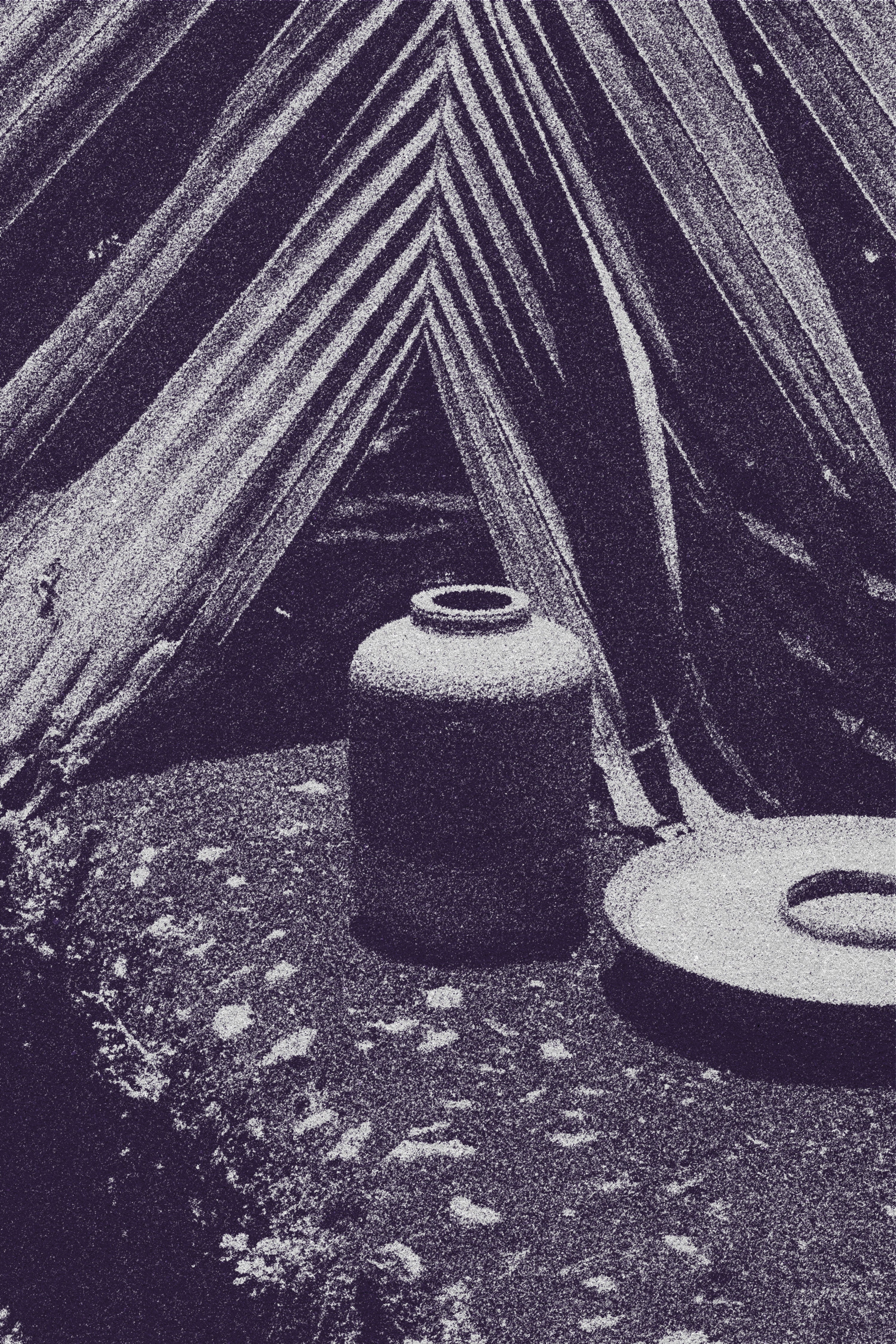 Coleção Florestas Tropicais